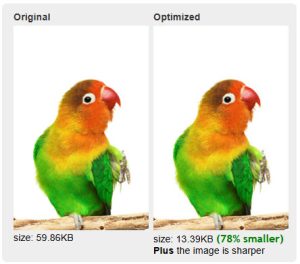 two images that compare a normal image to an optimized image